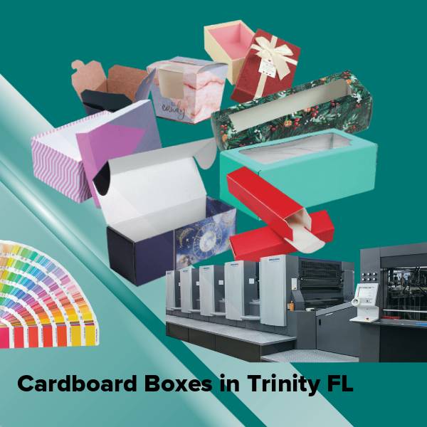 Cardboard boxes in trinity fl