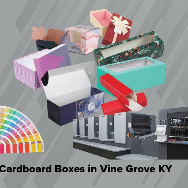 Cardboard boxes in vine grove ky
