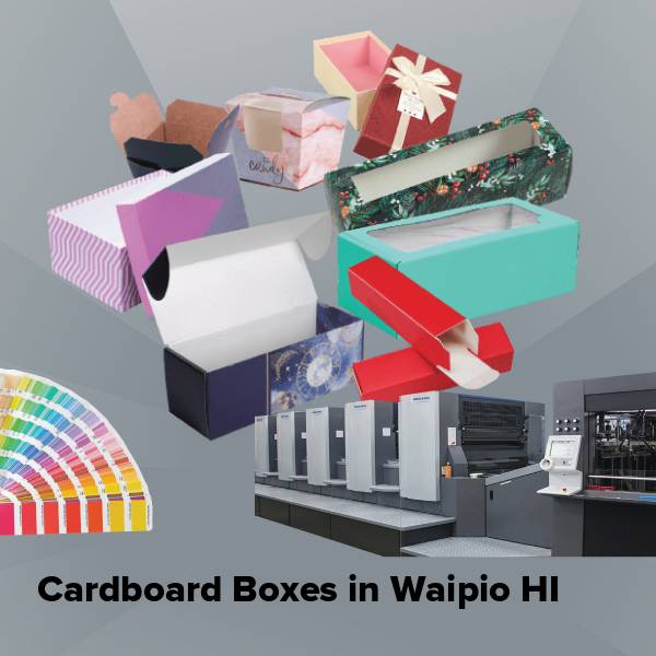 Cardboard boxes in waipio hi