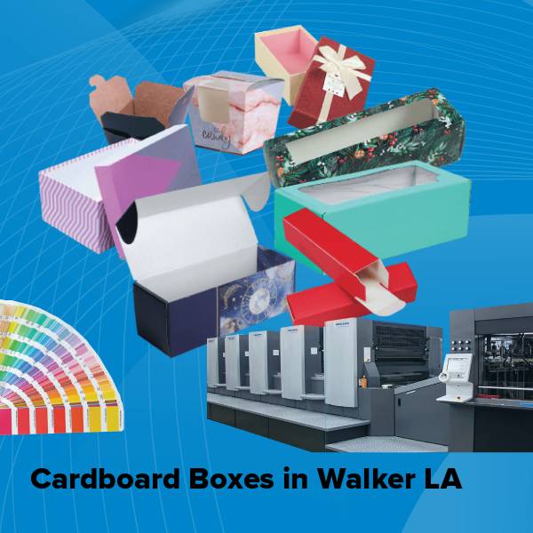 Cardboard boxes in walker la