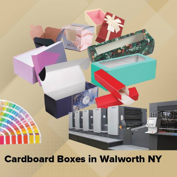 Cardboard boxes in walworth ny