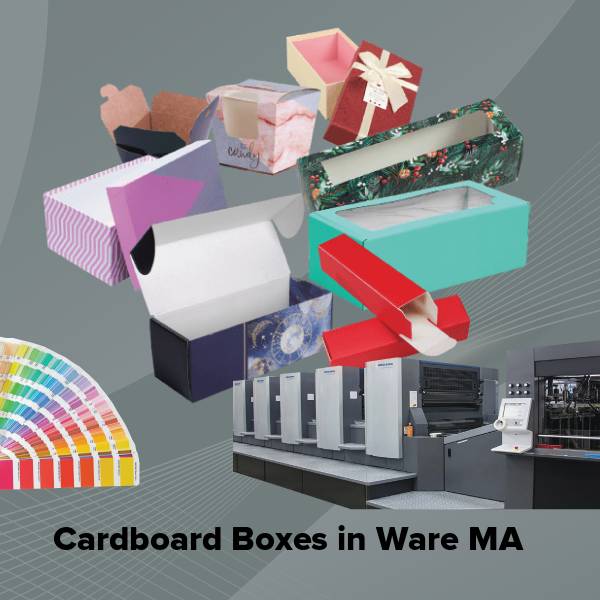 Cardboard boxes in ware ma