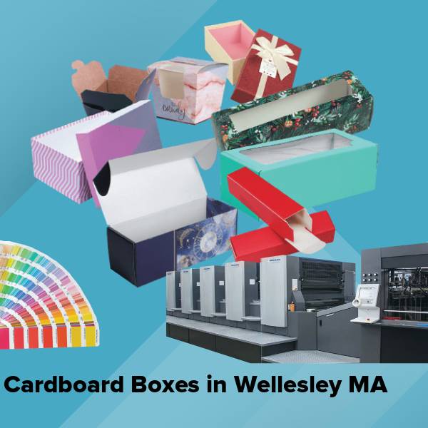 Cardboard boxes in wellesley ma