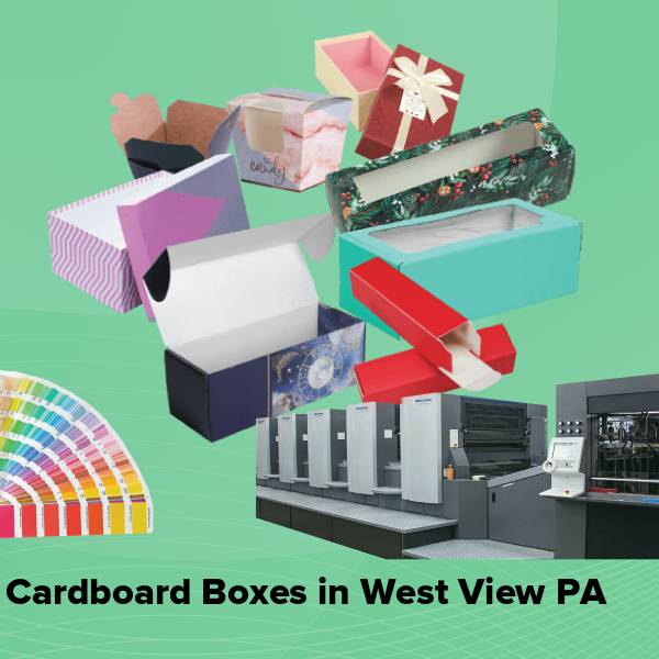 Cardboard boxes in west view pa