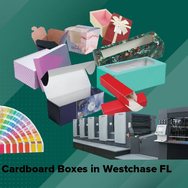 Cardboard boxes in westchase fl