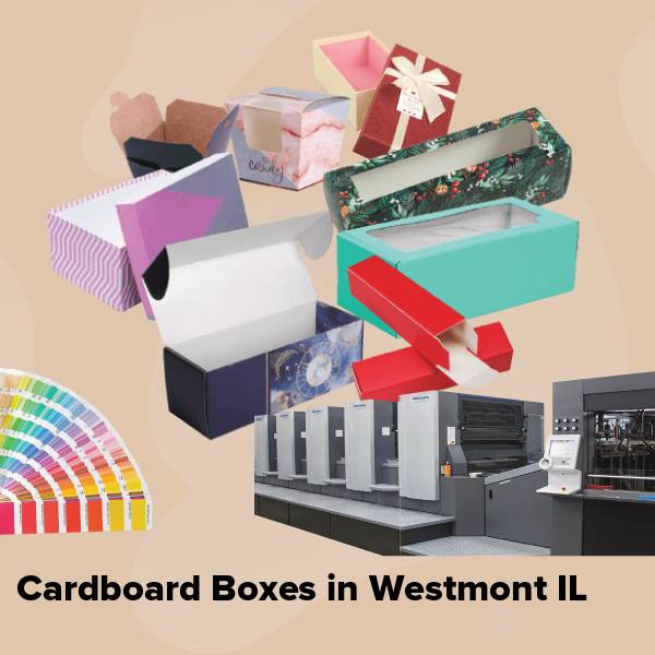 Cardboard boxes in westmont il