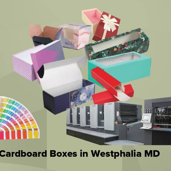 Cardboard boxes in westphalia md