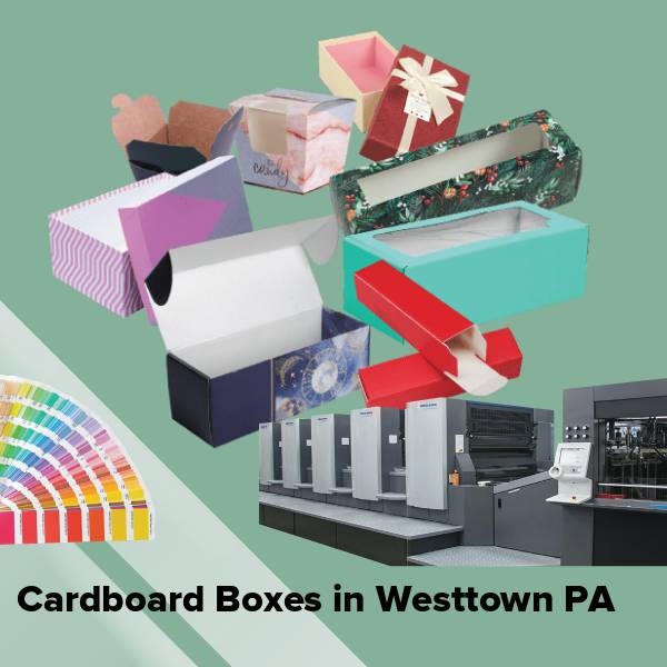 Cardboard boxes in westtown pa