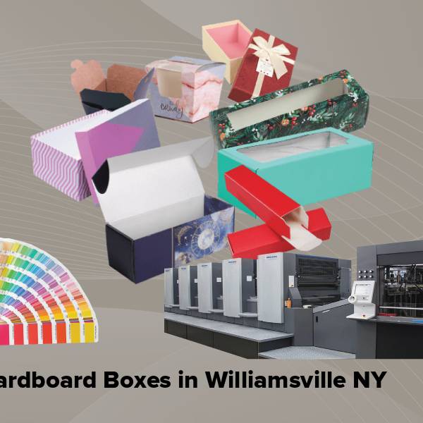 Cardboard boxes in williamsville ny