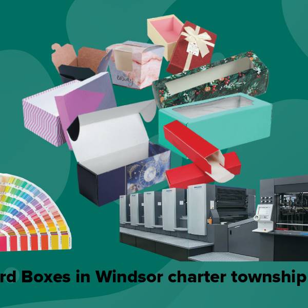 Cardboard boxes in windsor charter township mi