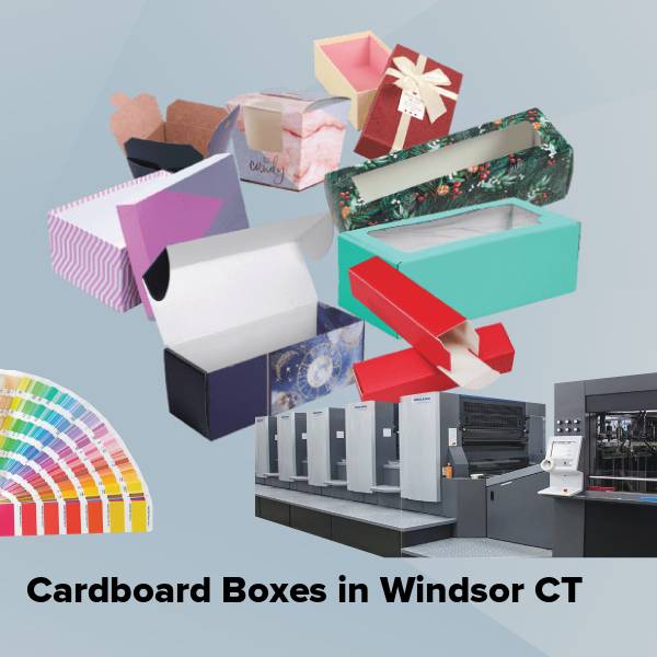 Cardboard boxes in windsor ct