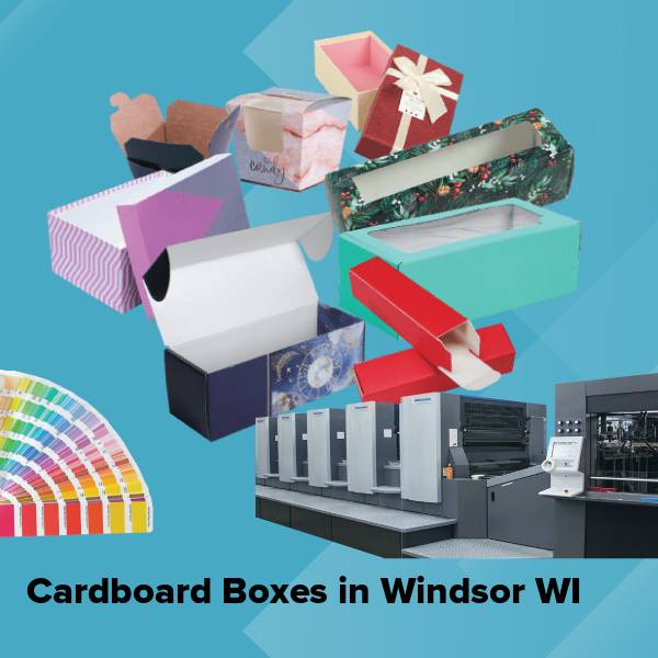 Cardboard boxes in windsor wi