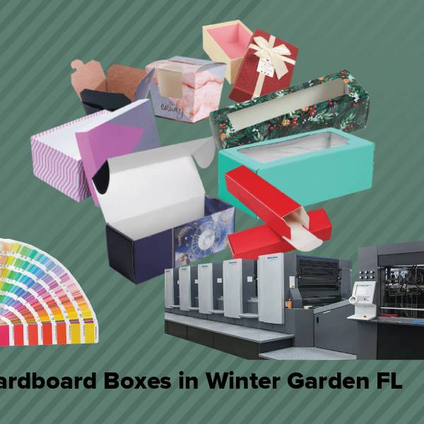 Cardboard boxes in winter garden fl