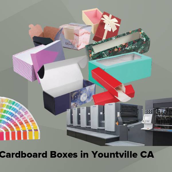 Cardboard boxes in yountville ca