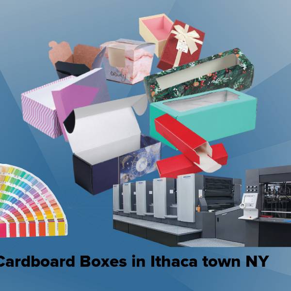 Cardboard boxes in ithaca town ny