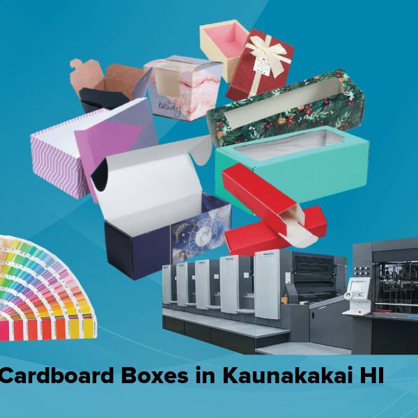 Cardboard boxes in kaunakakai hi