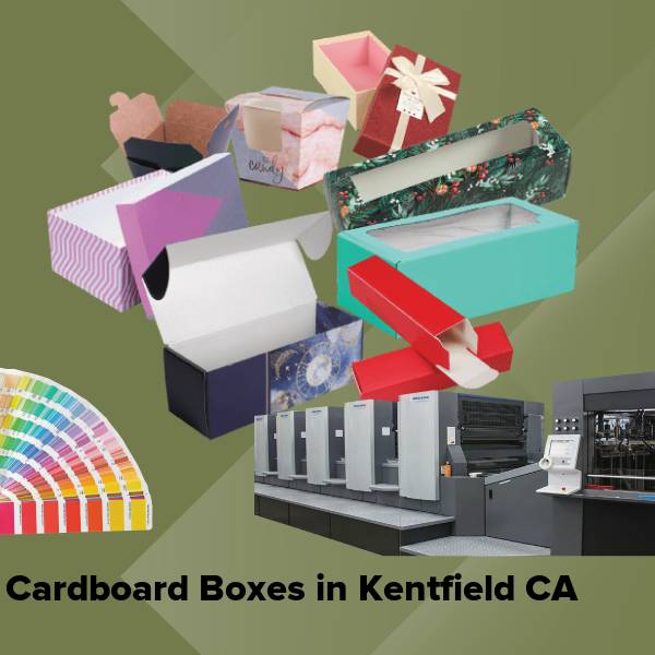 Cardboard boxes in kentfield ca