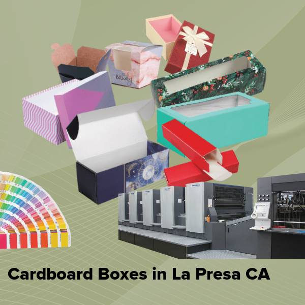 Cardboard boxes in la presa ca