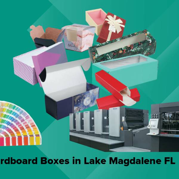 Cardboard boxes in lake magdalene fl
