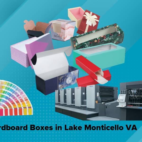 Cardboard boxes in lake monticello va