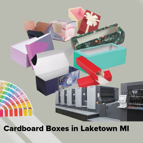 Cardboard boxes in laketown mi