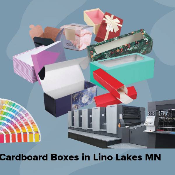 Cardboard boxes in lino lakes mn