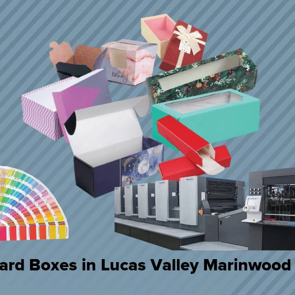 Cardboard boxes in lucas valley marinwood ca