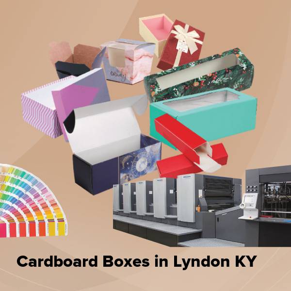 Cardboard boxes in lyndon ky