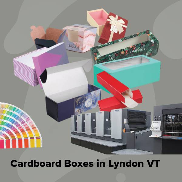 Cardboard boxes in lyndon vt
