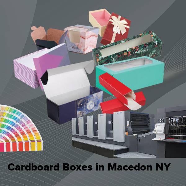 Cardboard boxes in macedon ny
