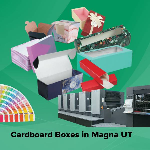 Cardboard boxes in magna ut