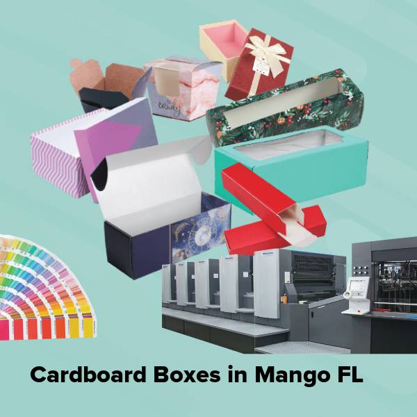Cardboard boxes in mango fl