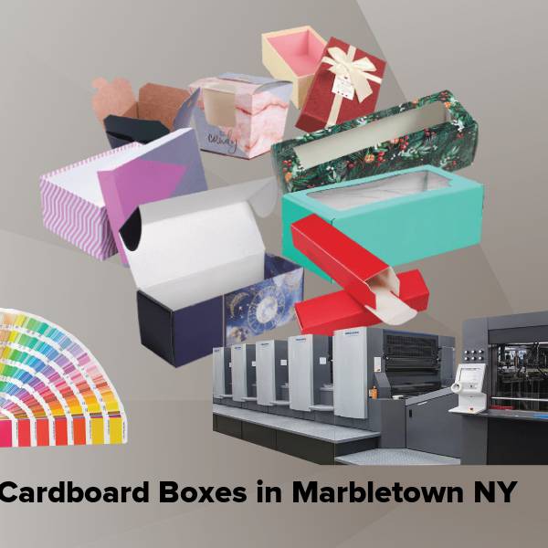 Cardboard boxes in marbletown ny