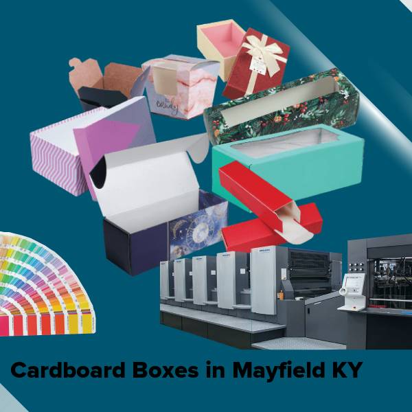 Cardboard boxes in mayfield ky