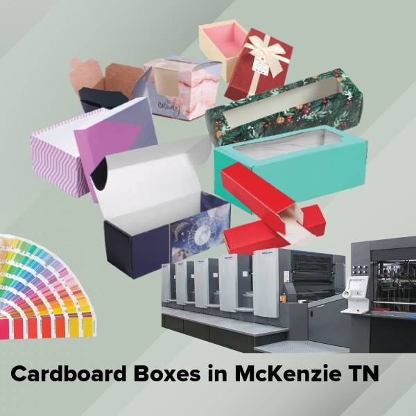 Cardboard boxes in mckenzie tn