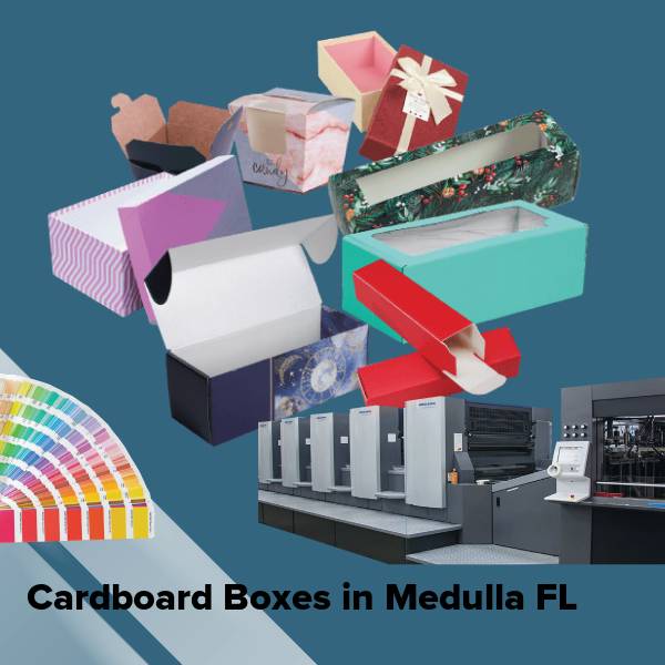 Cardboard boxes in medulla fl
