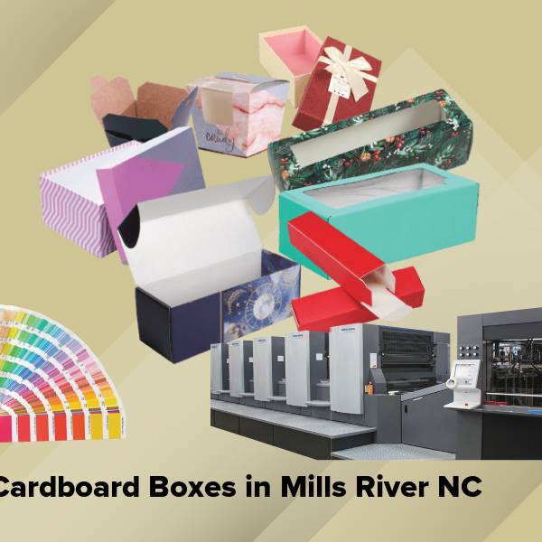 Cardboard boxes in mills river nc