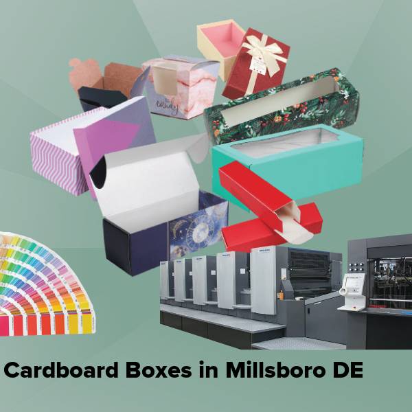 Cardboard boxes in millsboro de