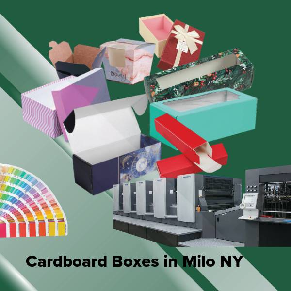 Cardboard boxes in milo ny