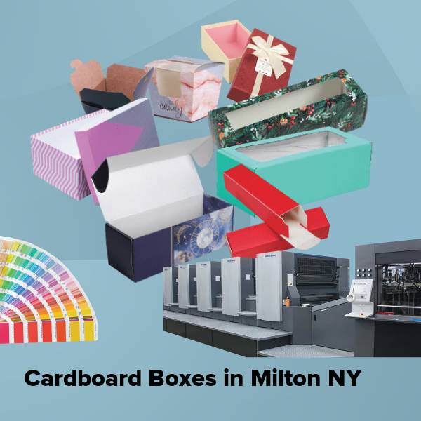 Cardboard boxes in milton ny