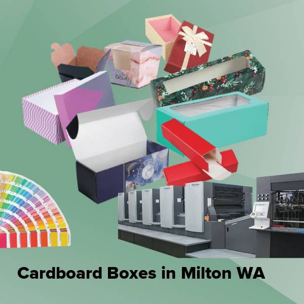Cardboard boxes in milton wa