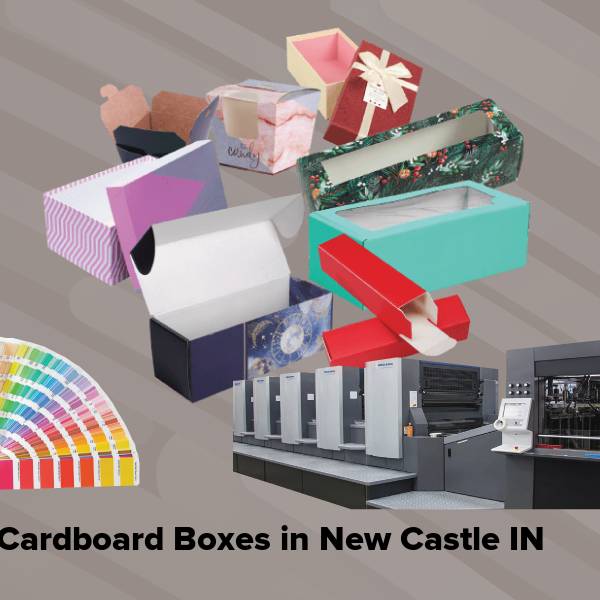 Cardboard boxes in new castle in