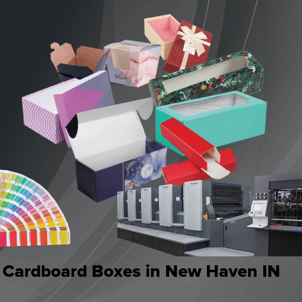 Cardboard boxes in new haven in