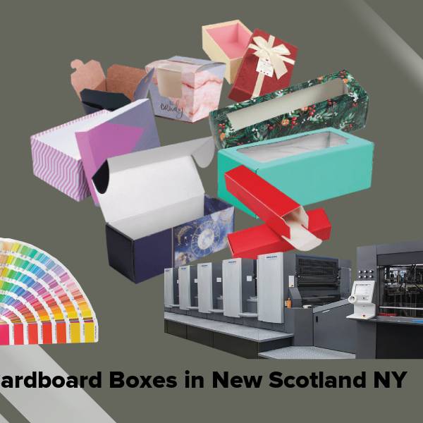 Cardboard boxes in new scotland ny