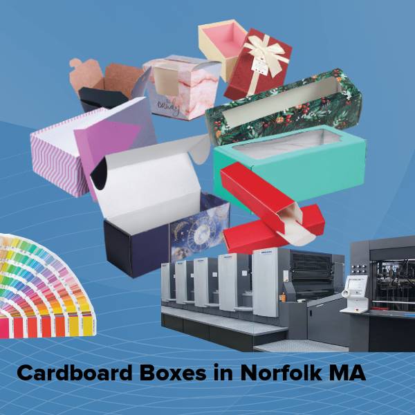 Cardboard boxes in norfolk ma