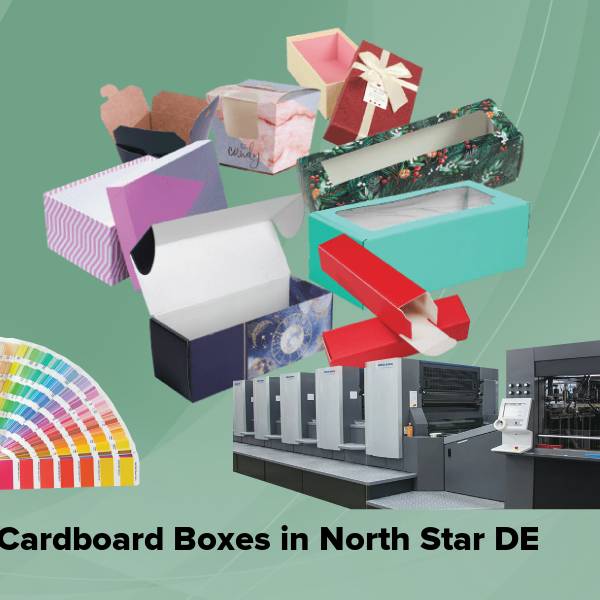 Cardboard boxes in north star de