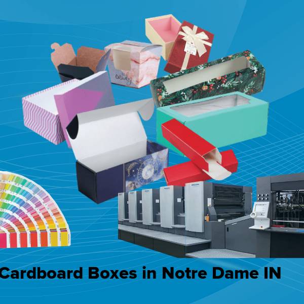 Cardboard boxes in notre dame in