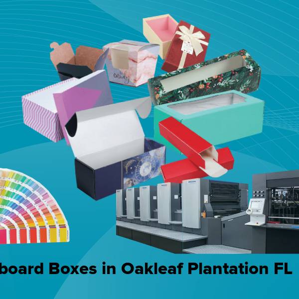 Cardboard boxes in oakleaf plantation fl