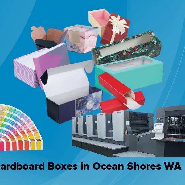 Cardboard boxes in ocean shores wa