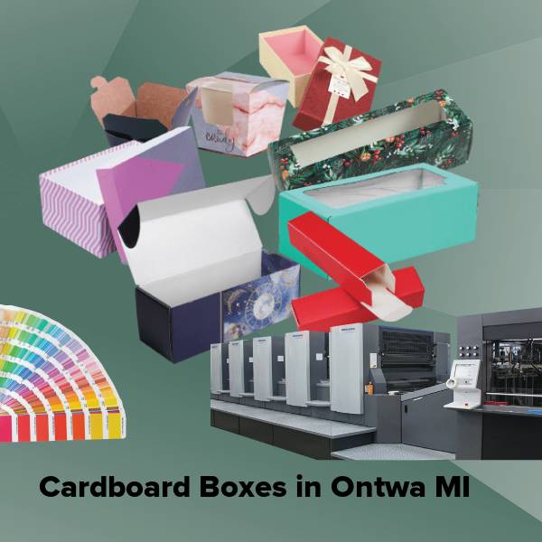 Cardboard boxes in ontwa mi